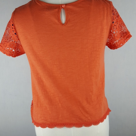 Orange Sheer Lace Knit Top - Picture 4 of 4